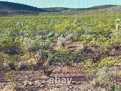 170.9 Acre Ranch In West Texas! Very Rare! Buildable With No Limits! Survey