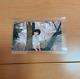 Bts Pt. 1 Japan Limited Photocard Official Very Rare Collection 2