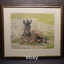 Charles Frace Zebra Foal Signed Print Very Rare Limited Edition Mint 1975