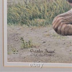 Charles Frace Zebra Foal Signed Print Very Rare Limited Edition Mint 1975