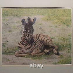 Charles Frace Zebra Foal Signed Print Very Rare Limited Edition Mint 1975