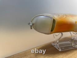 Deps new slide swimmer 250 BRGD 2023 limited model very rare swimbait glidebait