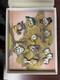 Donald Duck Family Tree Boxed Pin Set Limited Edition 3000 Complete Very Rare