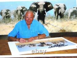 Just Elephants By David Shepherd Signed Limited Edition Very Rare