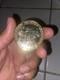 Mark Jones Leprechaun Movie Coin Limited Edition Signed Very Rare