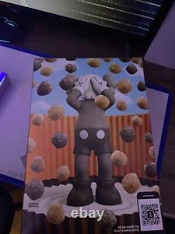 Reeses Puffs X KAWS Cereal Limited Edition! Very RARE