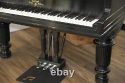 Steinway Model B Limited Edition 2003 Art Case, very rare, wonderful tone