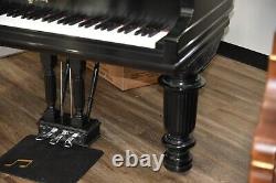 Steinway Model B Limited Edition 2003 Art Case, very rare, wonderful tone