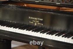 Steinway Model B Limited Edition 2003 Art Case, very rare, wonderful tone