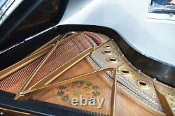 Steinway Model B Limited Edition 2003 Art Case, very rare, wonderful tone