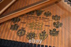 Steinway Model B Limited Edition 2003 Art Case, very rare, wonderful tone