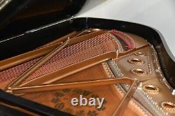 Steinway Model B Limited Edition 2003 Art Case, very rare, wonderful tone