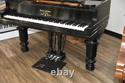 Steinway Model B Limited Edition 2003 Art Case, very rare, wonderful tone