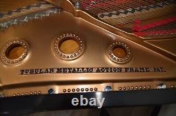 Steinway Model B Limited Edition 2003 Art Case, very rare, wonderful tone