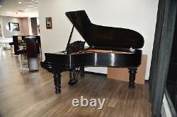 Steinway Model B Limited Edition 2003 Art Case, very rare, wonderful tone