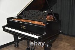 Steinway Model B Limited Edition 2003 Art Case, very rare, wonderful tone