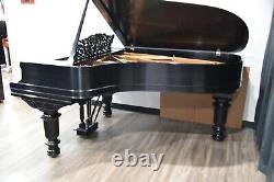 Steinway Model B Limited Edition 2003 Art Case, very rare, wonderful tone