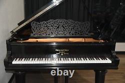 Steinway Model B Limited Edition 2003 Art Case, very rare, wonderful tone