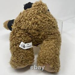 The North Face Original Teddy Bear Very Rare Limited Item 28cm GIFT NOT FOR SALE
