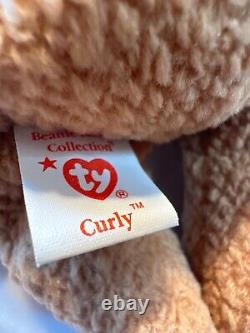 Ty Very Rare Curly 1996 Retired 2 months after its Birthday limited Edition 1996