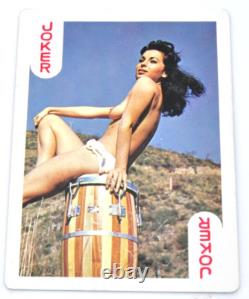 Very Rare 1980s Showa Retro Nude Playing Cards Suntory Limited DRY GIN Gin Lime