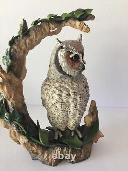 Very Rare Limited Edition Hand Painted and Signed Bohem White Faced Scoop Owl