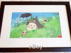 Very Rare! My neighbor Totoro Limited Official Anime Art Cel Ghibli #BC29