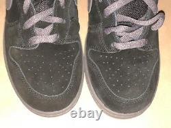 Ds 100% Authentique Nike Sb Dunk Pro High’fog' 9.0 (305050-002) Very Rare Limited