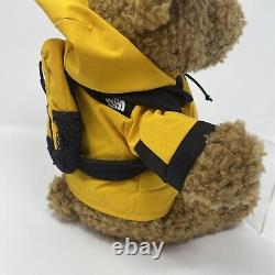 L'ours en peluche original The North Face très rare et limité de 28cm CADEAU NON À VENDRE