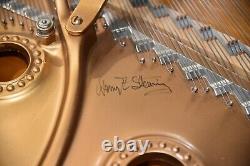 Steinway Modèle B Édition Limitée 2003 Boîtier Art, très rare, son merveilleux