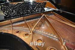 Steinway Modèle B Édition Limitée 2003 Boîtier Art, très rare, son merveilleux