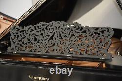 Steinway Modèle B Édition Limitée 2003 Boîtier Art, très rare, son merveilleux