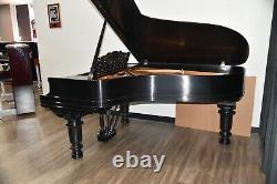 Steinway Modèle B Édition Limitée 2003 Boîtier Art, très rare, son merveilleux