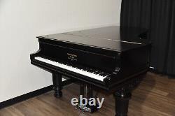 Steinway Modèle B Édition Limitée 2003 Boîtier Art, très rare, son merveilleux